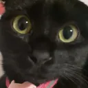 💜Pruno💜