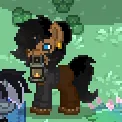 Just Pony With It