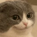 Chill Vibes Syndicate (25+) Discord Server Icon