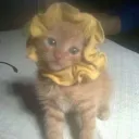 private server??! 👀😜