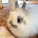 yum