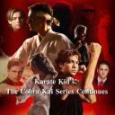 Karate Kid's: The Cobra Kai Series Continues Discord Server Icon