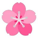 Server icon