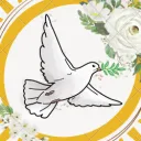Liberum Columbae