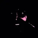 Planett's WRLD
