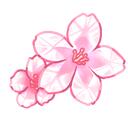    Hanamiya 花宮    Discord Server Icon