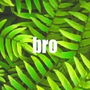 brothers