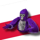 Gorilla Tag Poland