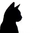 >_< | kumoki avatar