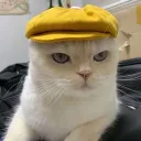 Meow