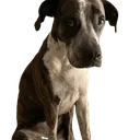 troofcoin