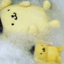 ʕ •ᴥ•ʔ