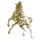 Discovery icon for Coco Horsemanship. Discord server