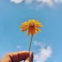 𝒯𝒽𝑒 𝒢𝒶𝓇𝒹𝑒𝓃's icon