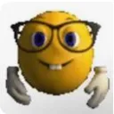 Zoom Homies