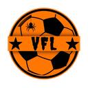 | VFL | E-SPORTS Discord Server Icon
