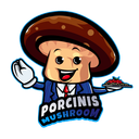 Server Icon