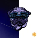BIG PUG COREDAO COMMUNITY