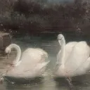 luv ♱ sxxxocial ﹕ pfps . banners . templates Discord Server