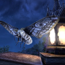 Elder Scrolls Online (DMP)
