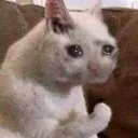 Ganas de automorición
