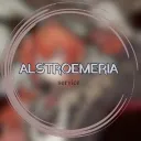 Alstroemeria