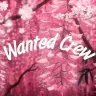 Wanted Crew — мониторинг Discord сервера, статистика и рейтинг