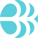 bruinen