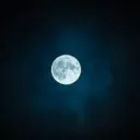 The Moon Garden