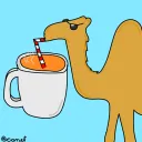 The Camel Caravan