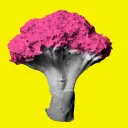 BroccoLegends