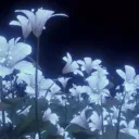 Eternity Discord Server Icon