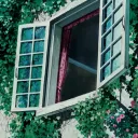 ﹒ ghibli grove
