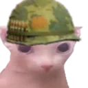 Bingus Army