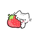  ‧ ˚. strawberry paws  Discord Server Icon
