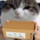 + ̊๑ ʚ   ..cardboard box Discord Server Icon