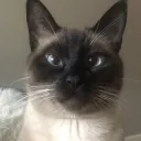 Sweaty Server Discord server icon