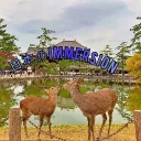 日本の没入/Japan's immersion Discord Server Icon