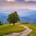 Field of Dreams Discord Server Icon