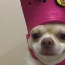 NotOk Discord Server Icon