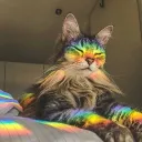 Komakech Kingdom™ Discord Server Icon