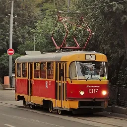 Провинция — мониторинг Discord сервера, статистика и рейтинг