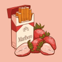 ♡•༻Strawberry Cigarettes༺•♡ Discord server icon