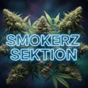 Server icon for Smokerz Sektion