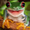 *•.¸♡ The Frog Pond ♡¸.•*