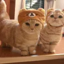 Chilling Discord Server Icon