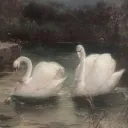 ₚₕᵢₗₒcₐₗᵢₛₜ'ₛ ₛₒcᵢₑₜy ⋆ ˚｡⋆୨୧˚ Discord Server Icon