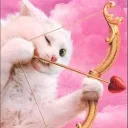 𖥦 ٭࣭ ャ › Catterl♡t village ⊹ ᮫࣭♡˖🐾