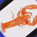 Crustacea   Discord Server Icon