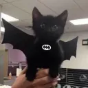 Gamer’s Magical Hangout V2|Gam... Discord Server Icon